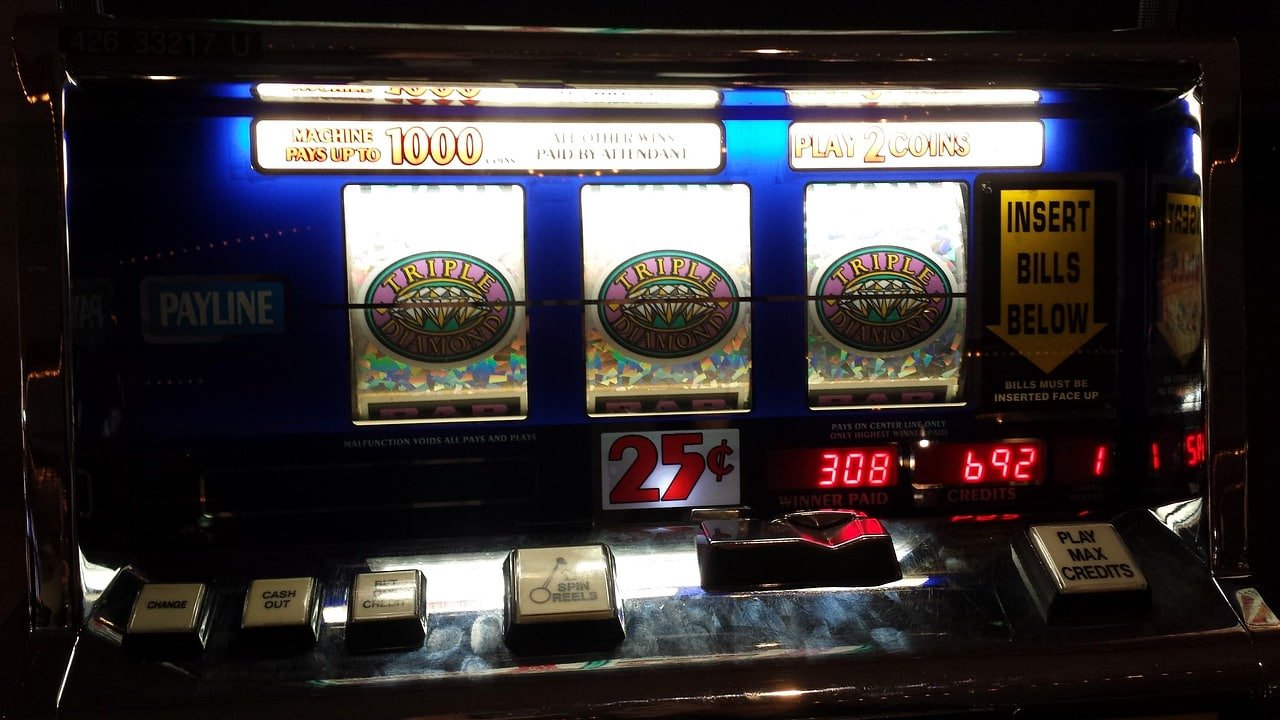 jelly bet